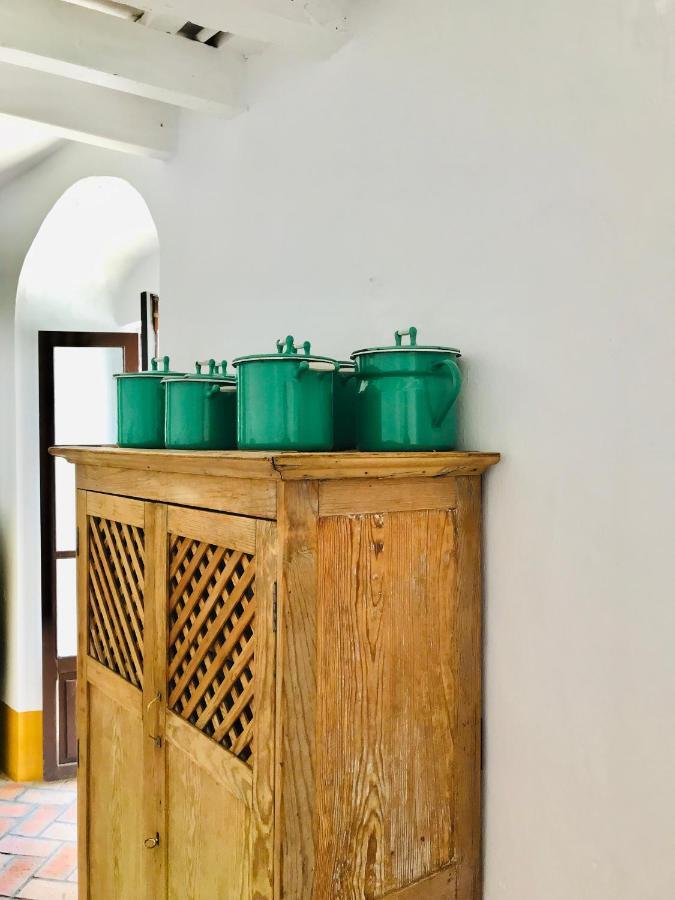 Apartamento San Juan Vejer de la Frontera Zewnętrze zdjęcie